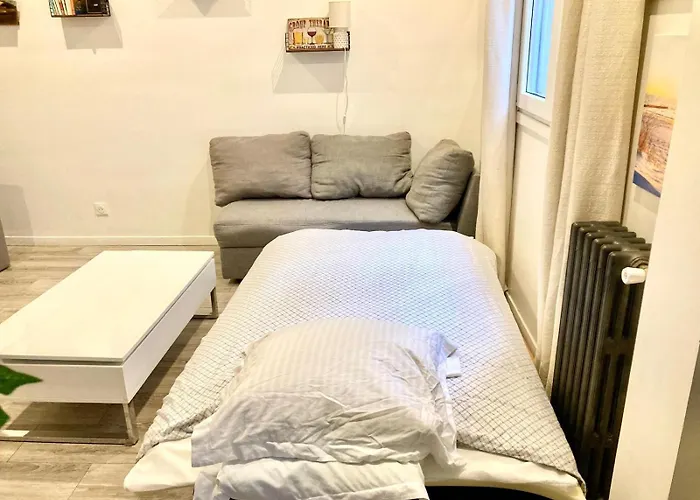Grand Studio De 31 M2 Amenage