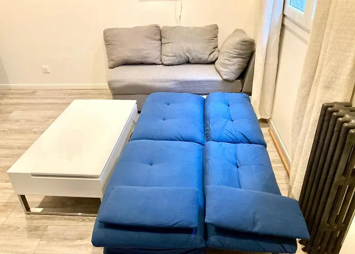 Grand Studio De 31 M2 Amenage