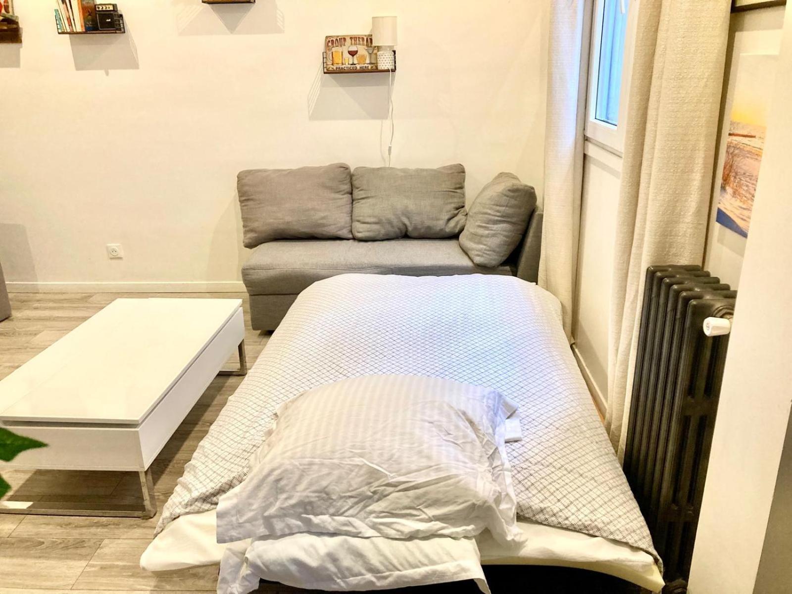 Grand De 31 M2 Amenage